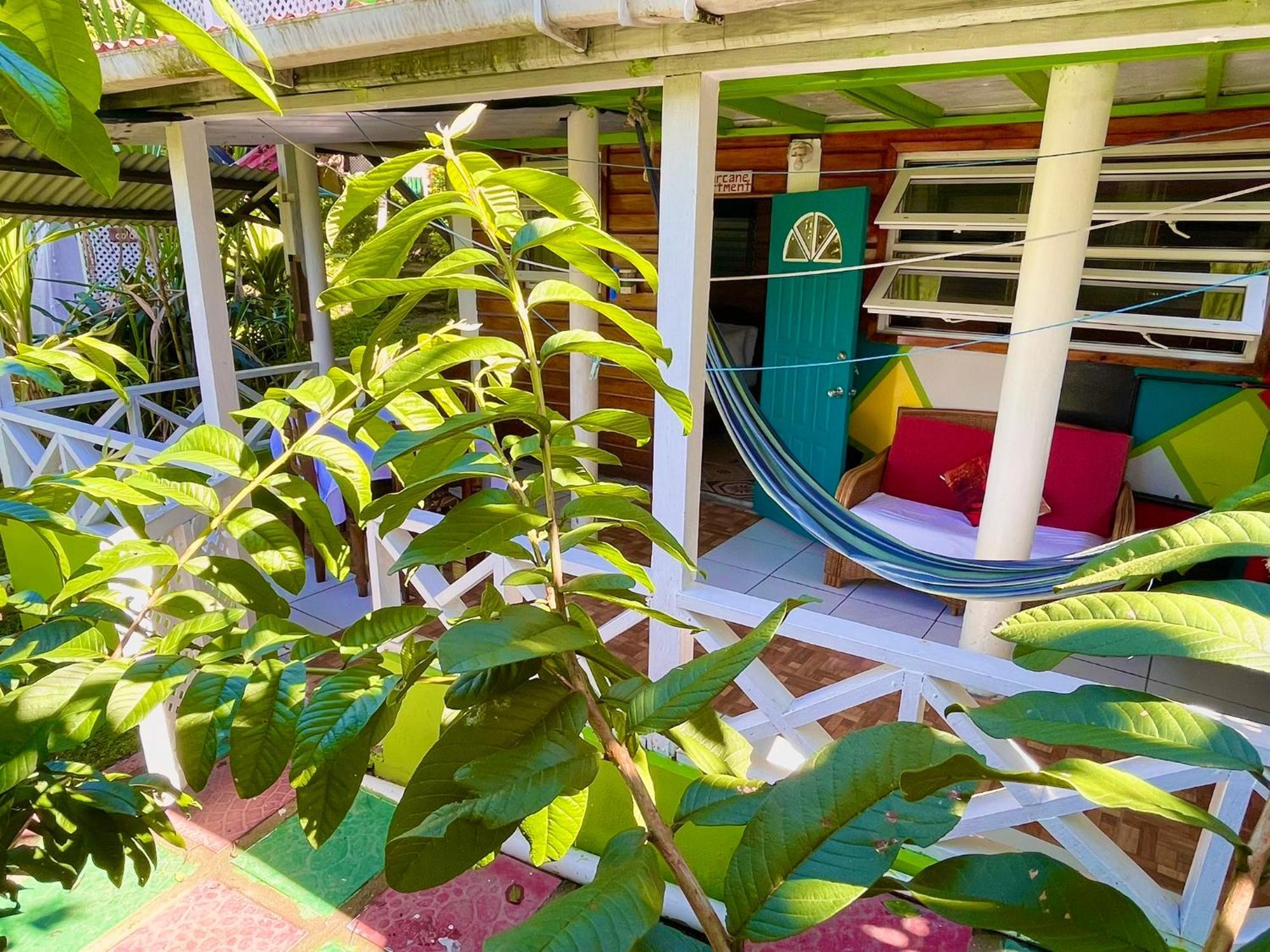 Le Petit Paradis Roseau Exterior foto
